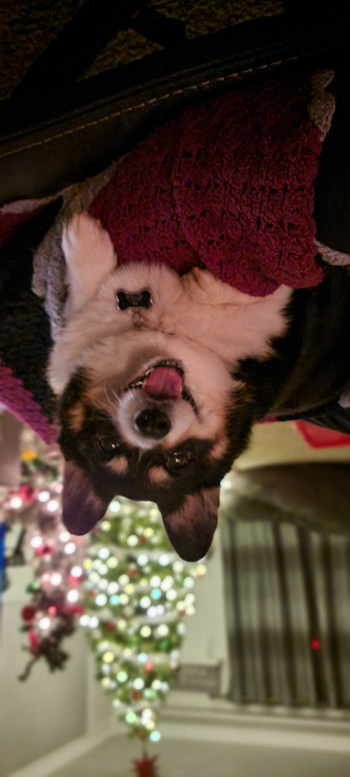 UPSIDEDOWNDOG